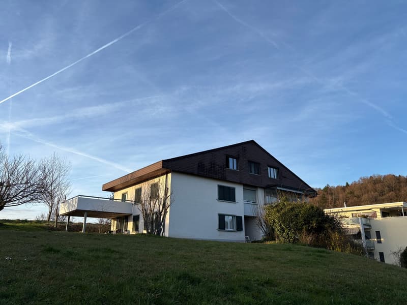 Casa multifamiliare affascinante a Roggwil (1)