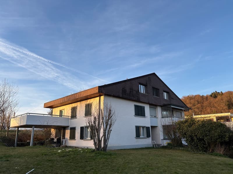 Casa multifamiliare affascinante a Roggwil (2)