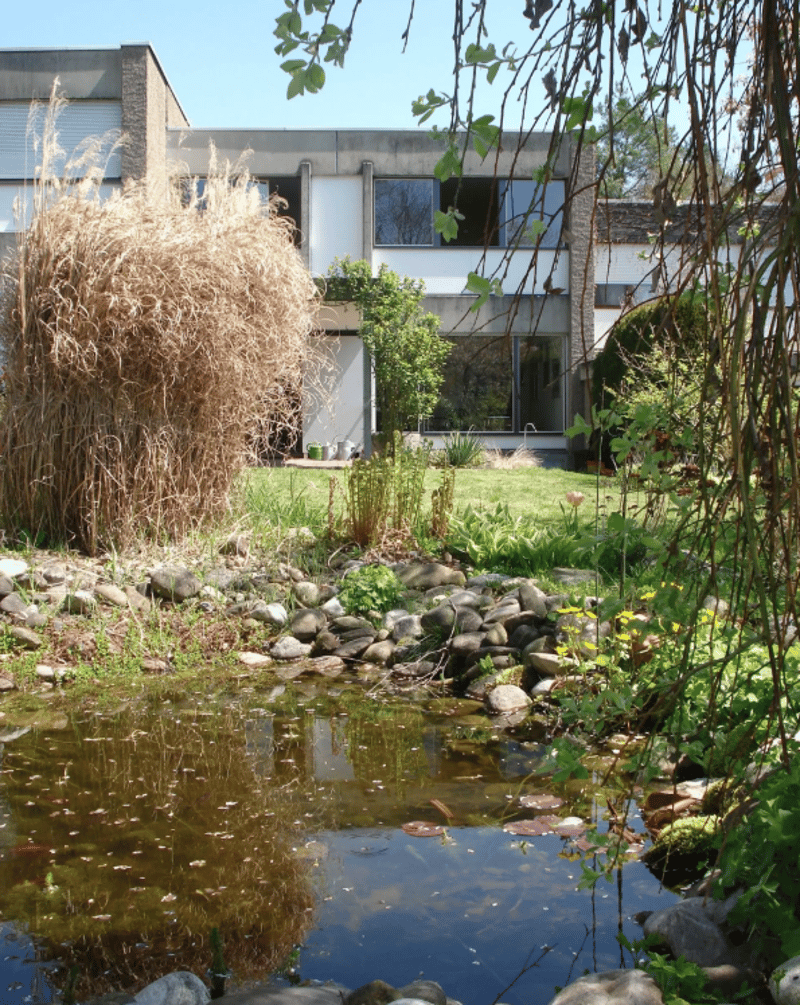 Maison de rangée à Hinterkappelen (4)