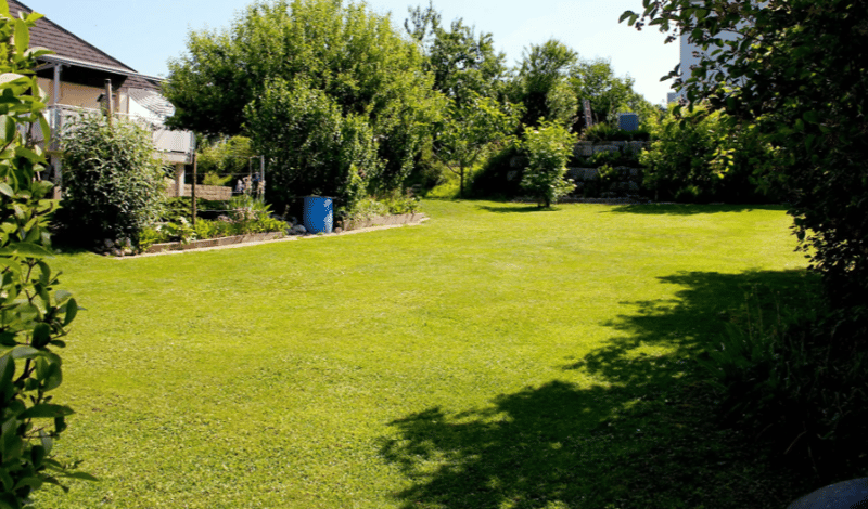 Charming 5.5-room single-family house in Bellmund – With a view and large garden (6)