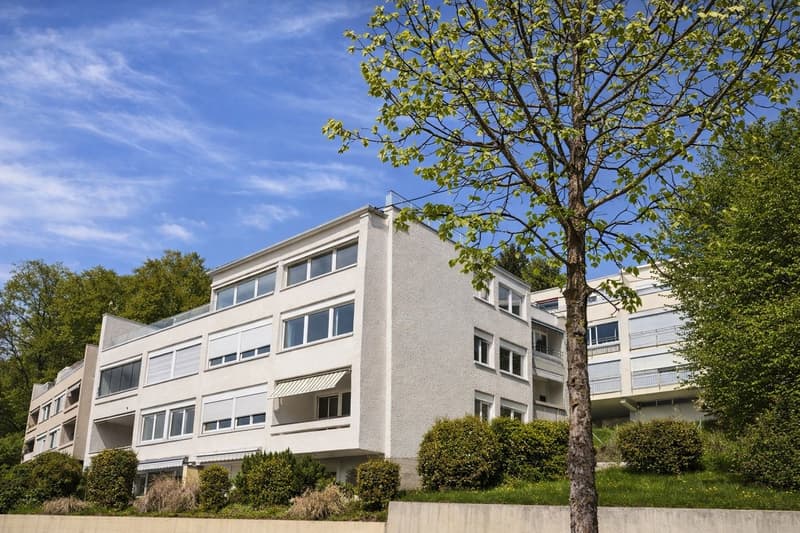 Living where Lucerne is most beautiful - 1.5 room apartment with potential (1)