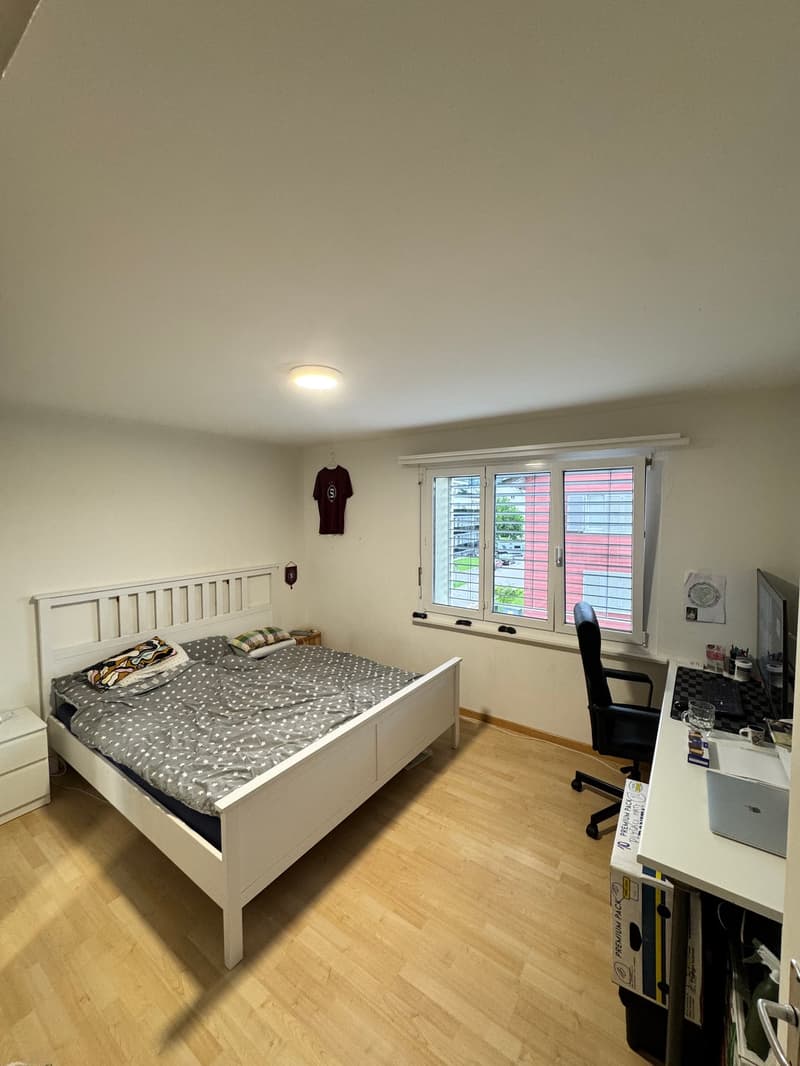 Charmante 4-Zimmer-Wohnung mit Balkon in Wetzikon (2)