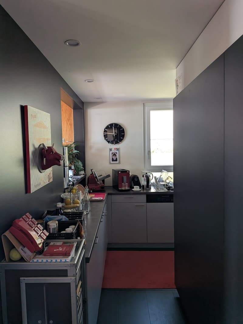 Großes Duplex mit 6.5 Zimmern und Panoramablick auf den See und die Alpen, privater Garten (5)
