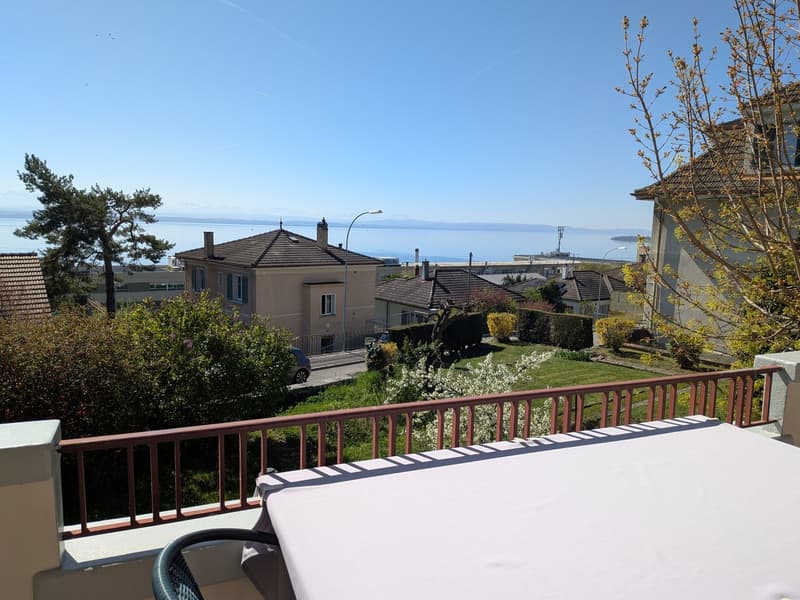 Großes Duplex mit 6.5 Zimmern und Panoramablick auf den See und die Alpen, privater Garten (2)
