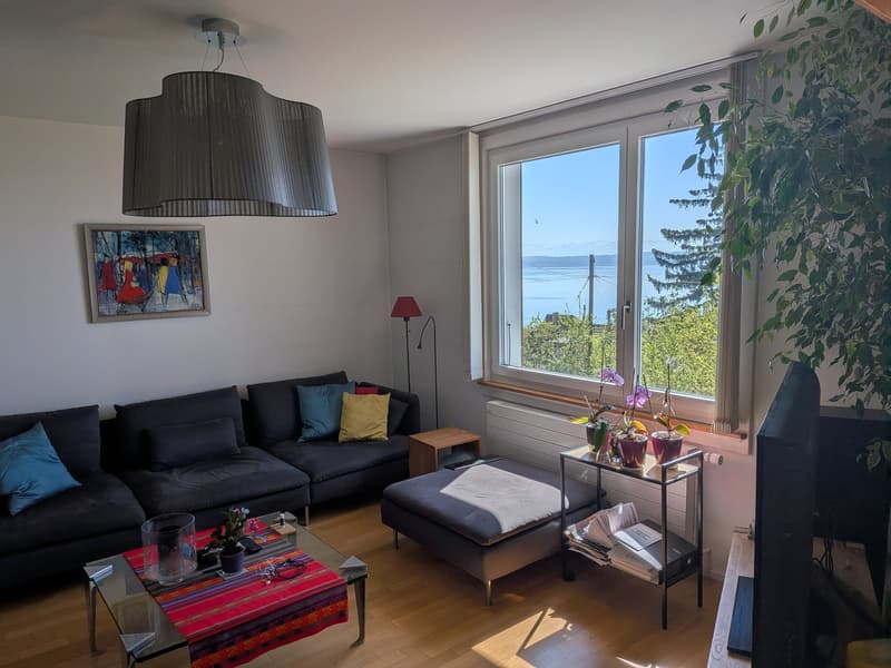 Großes Duplex mit 6.5 Zimmern und Panoramablick auf den See und die Alpen, privater Garten (4)