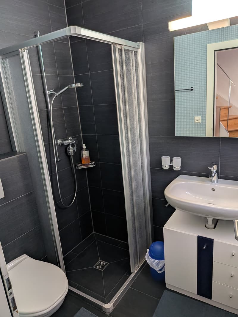 Großes Duplex mit 6.5 Zimmern und Panoramablick auf den See und die Alpen, privater Garten (10)