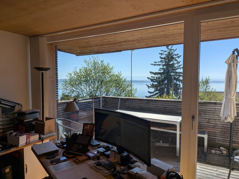 Großes Duplex mit 6.5 Zimmern und Panoramablick auf den See und die Alpen, privater Garten (7)