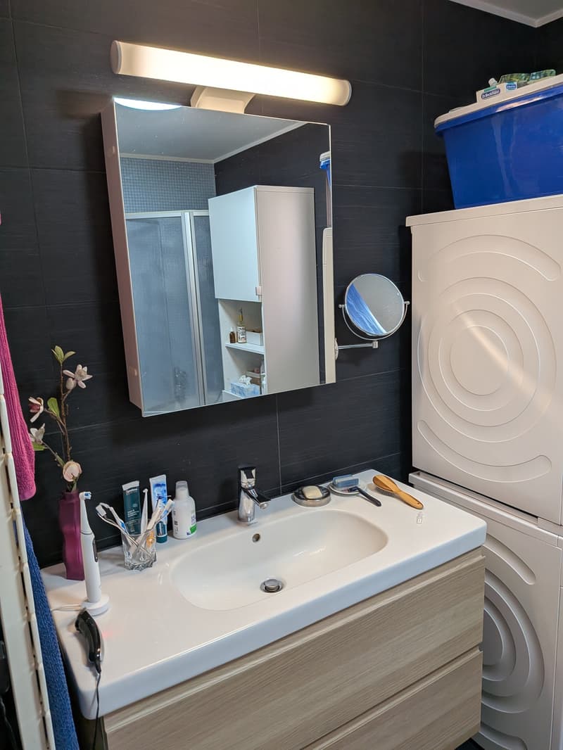 Großes Duplex mit 6.5 Zimmern und Panoramablick auf den See und die Alpen, privater Garten (9)