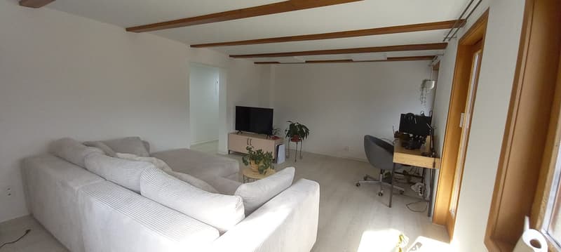 Appartamento soleggiato di 4,5 locali | Balcone & Terrazza | Vista panoramica | Sauna di casa | anche adatto come appartamento condiviso (5)