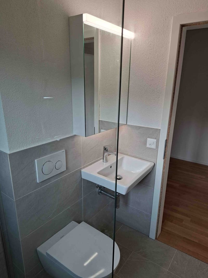Zu vermieten im Grünen an der Glatt ist eine 3.5 Zimmer Wohnung mit 61 m2 (7)