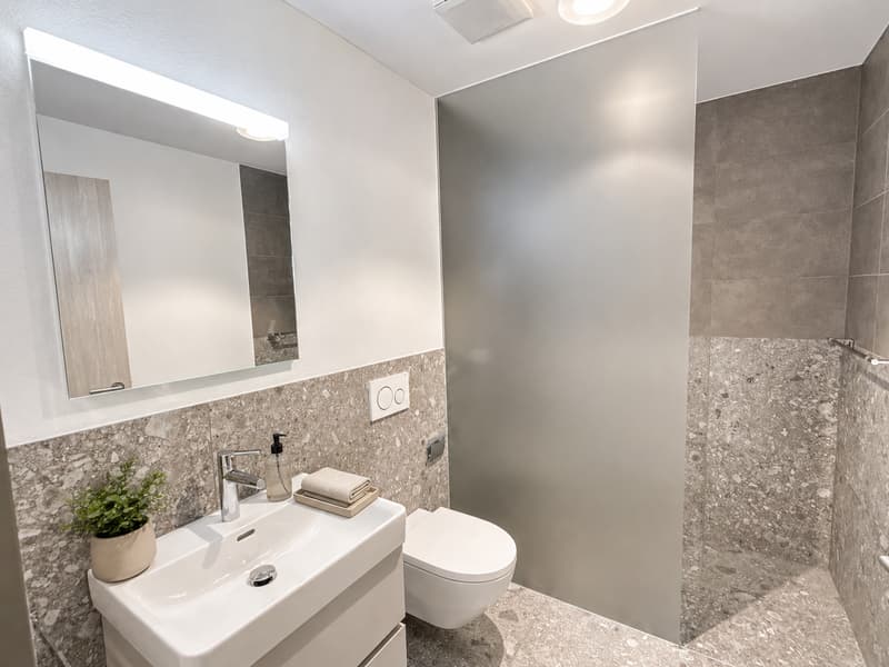 First-time occupancy: Residence am Waldrand – Owner-occupier standard between Lucerne and Zug (11)