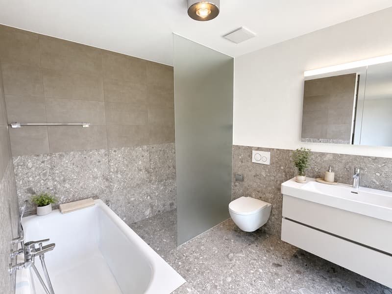 First-time occupancy: Residence am Waldrand – Owner-occupier standard between Lucerne and Zug (10)