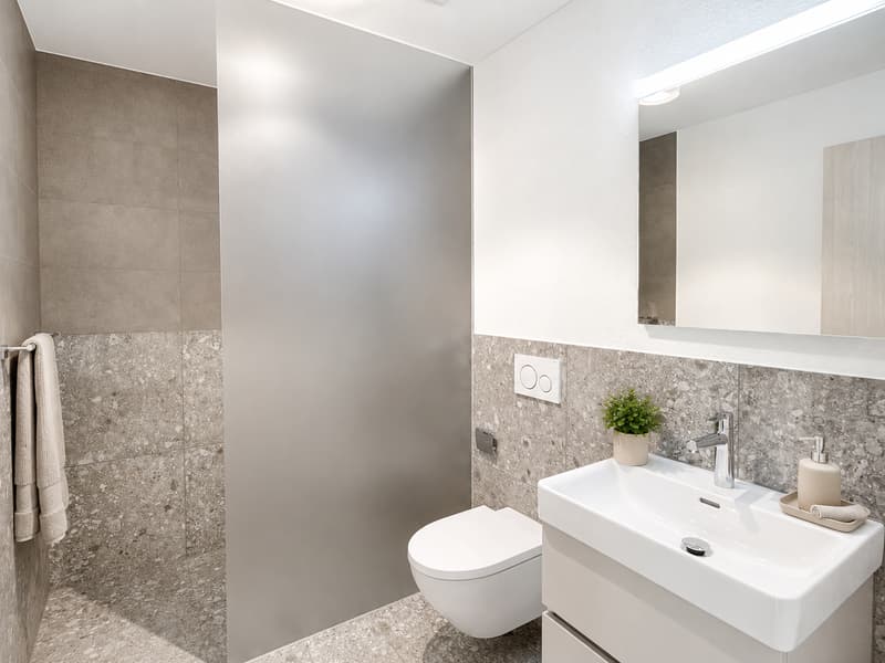 First-time occupancy: Residence on the forest edge – owner-occupier standard between Lucerne and Zug (8)