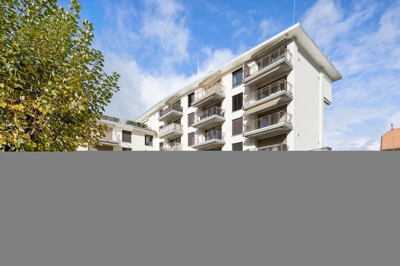 Grosszügiges möbliertes Studio mit Terrasse, Parkplatz & Co-Working-Zugang in Embrach, Zürich (23)