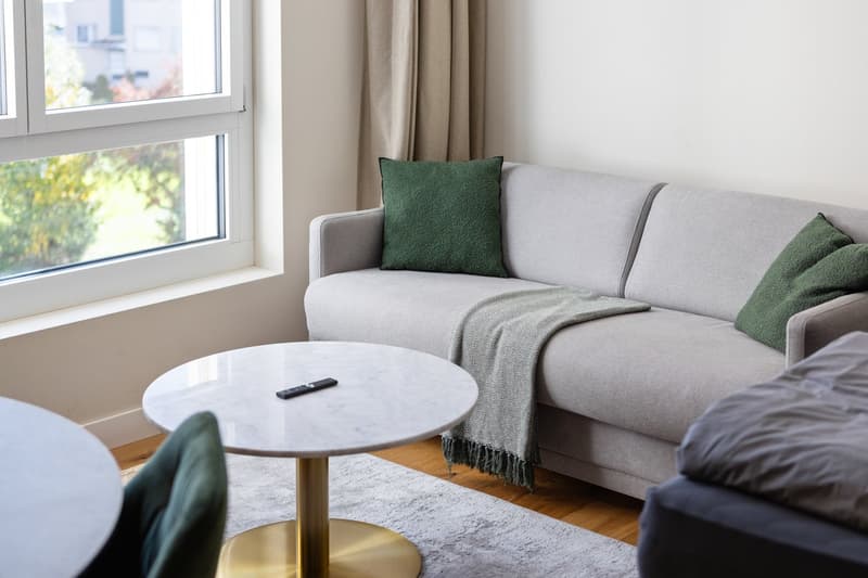 Grosszügiges möbliertes Studio mit Terrasse, Parkplatz & Co-Working-Zugang in Embrach, Zürich (7)