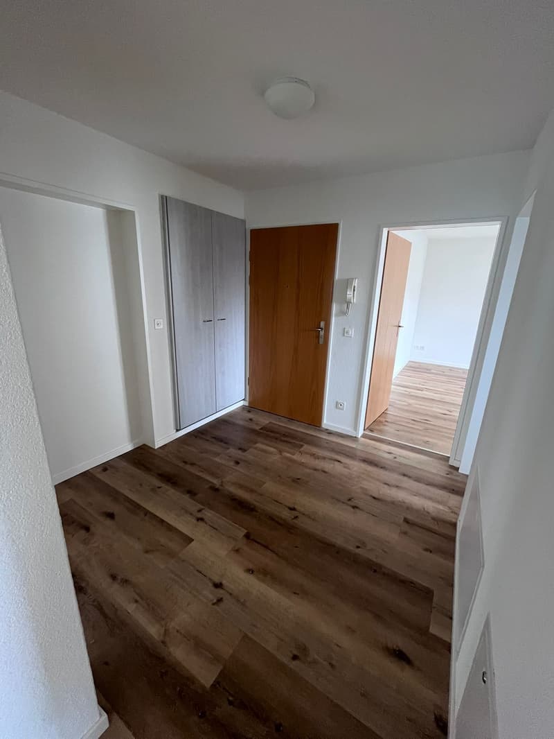Appartamento moderno di 3,5 locali (3)