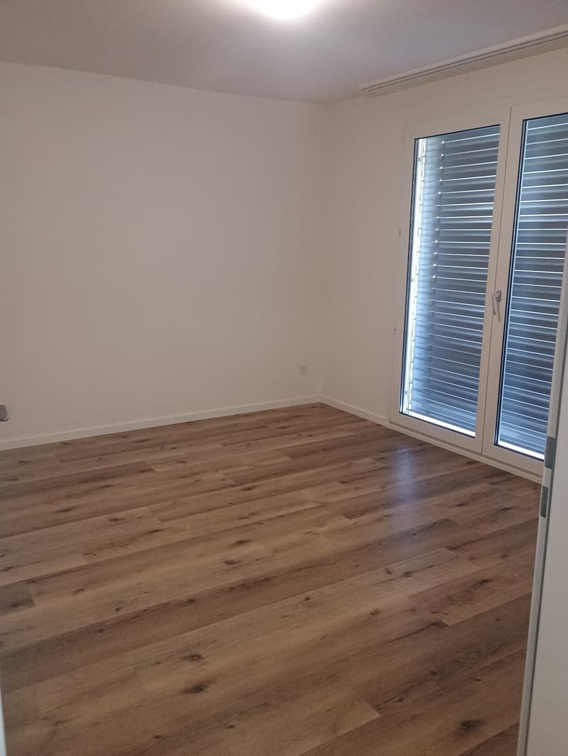 Appartamento moderno di 3,5 locali (4)