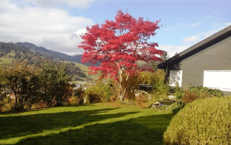 Spacious 9.5-room single-family house in Wattwil for rent - limited until 2028 (20)