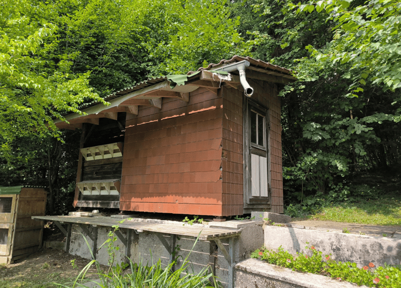 Spacious 9.5-room single-family house in Wattwil for rent - limited until 2028 (18)
