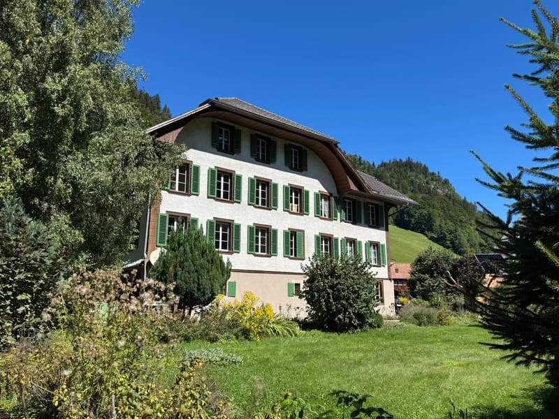 Charmante 2.5-Zimmer-Wohnung in historischem Gebäude unweit des BHF (5)