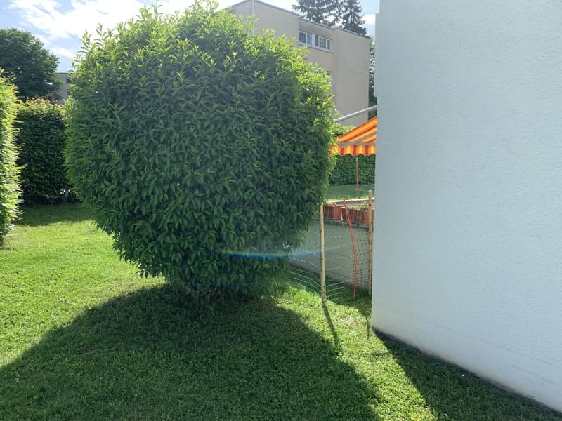 Appartement 3,5 pièces au rez-de-chaussée avec terrasse dans un quartier calme – avec place de parking extérieure à louer (9)