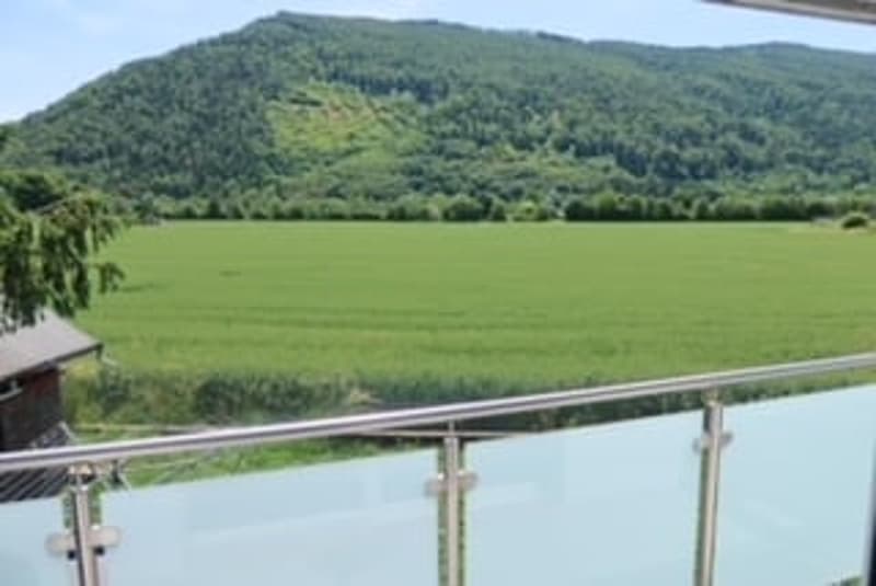 Casa a schiera modernizzata con appartamento 4.5- & 3.5-locali (1)