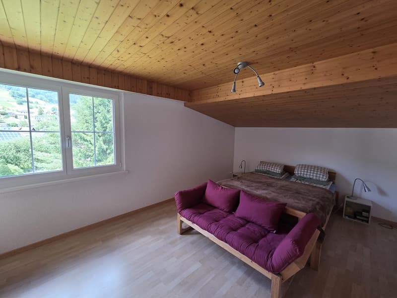 Dachwohnung ohne Balkon (7)