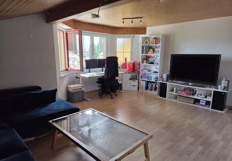 Dachwohnung ohne Balkon (6)