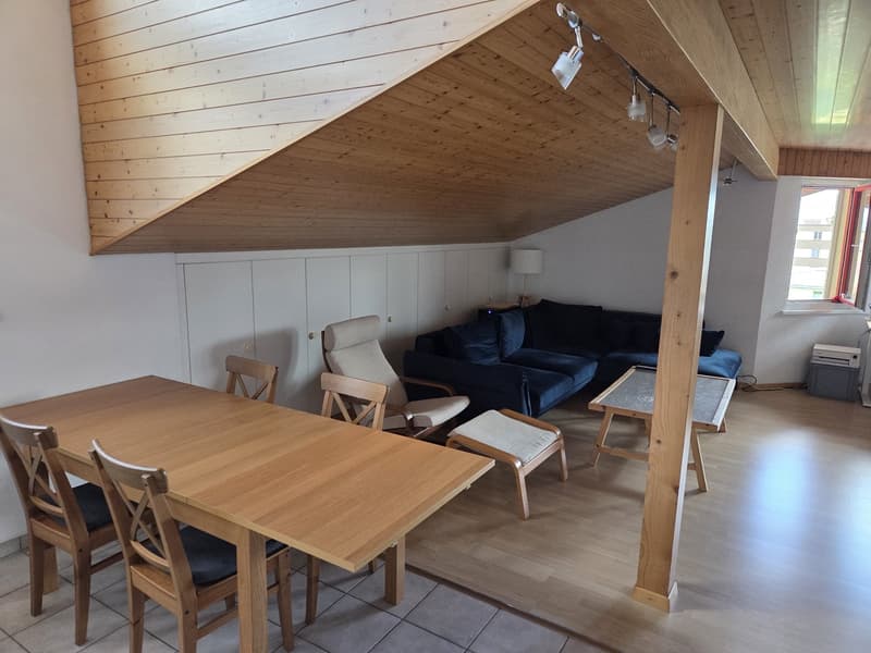 Dachwohnung ohne Balkon (4)