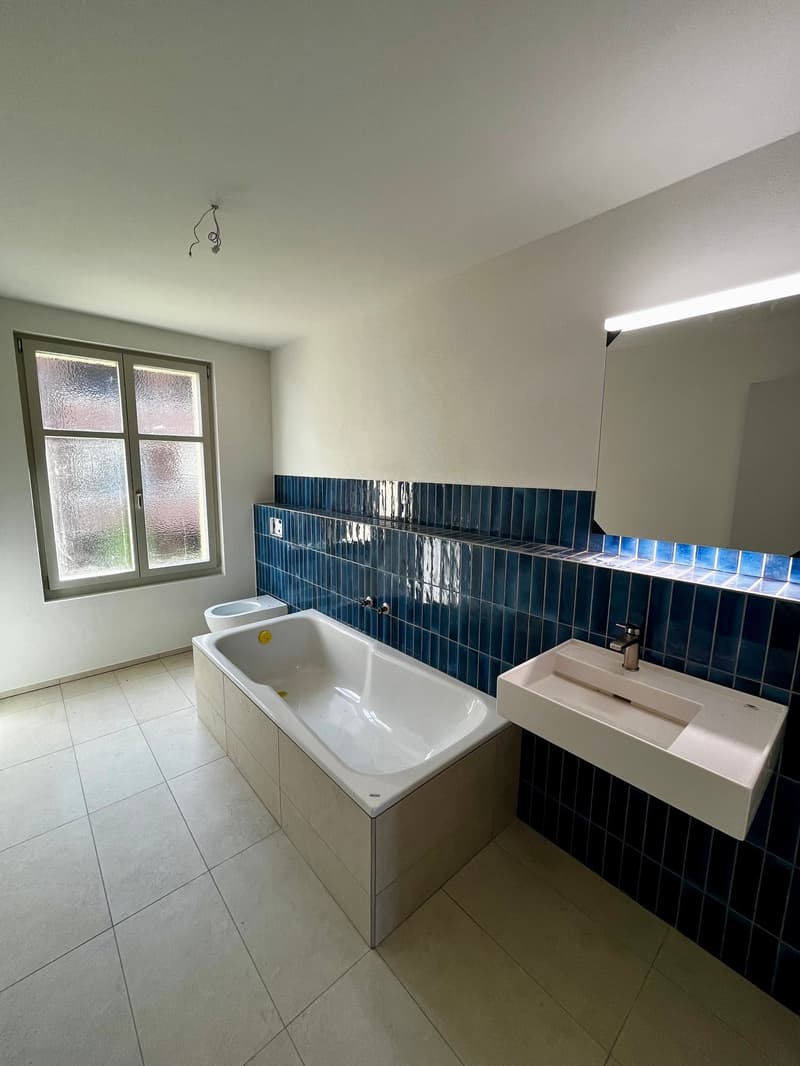 3.5-Room Apartment: First Occupancy in Historic Villa (6)