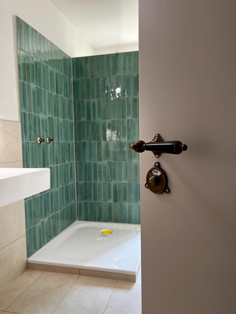 3.5-Room Apartment: First Occupancy in Historic Villa (5)