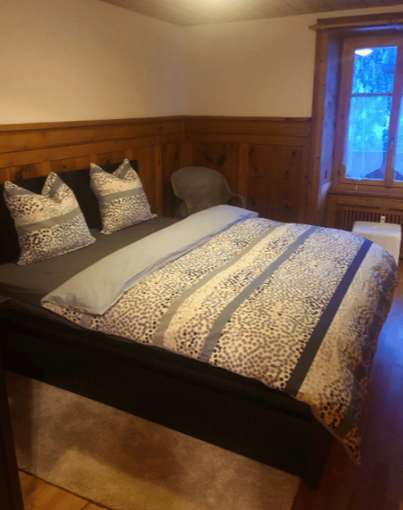 Charmante 4-Zimmer-Wohnung mit Cheminée und atemberaubender Bergkulisse in Avers-Cresta (4)