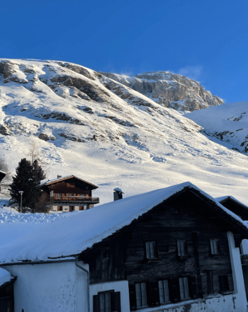 Charmante 4-Zimmer-Wohnung mit Cheminée und atemberaubender Bergkulisse in Avers-Cresta (7)