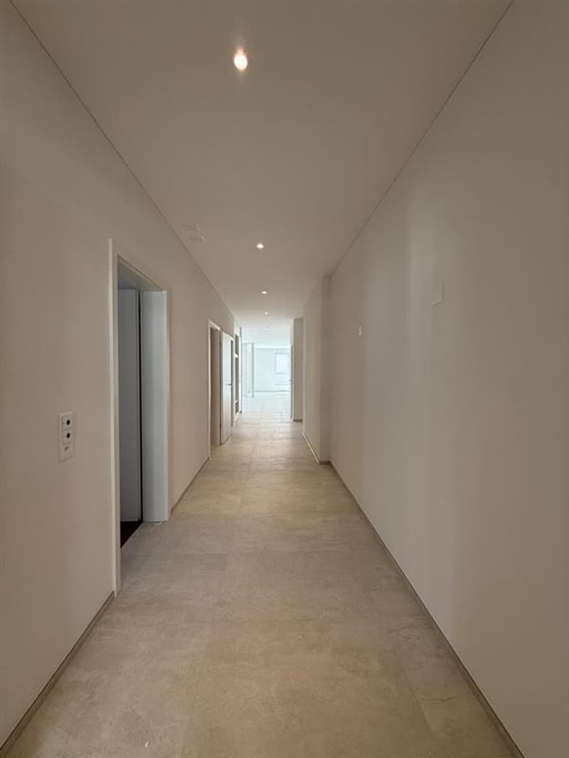 Appartamento esclusivo di 4,5 locali nuovo nel quartiere San Siro (7)