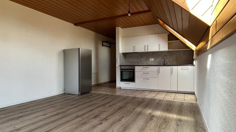 Appartamento 1.5 locali est con balcone, mansarda, con ascensore (2)