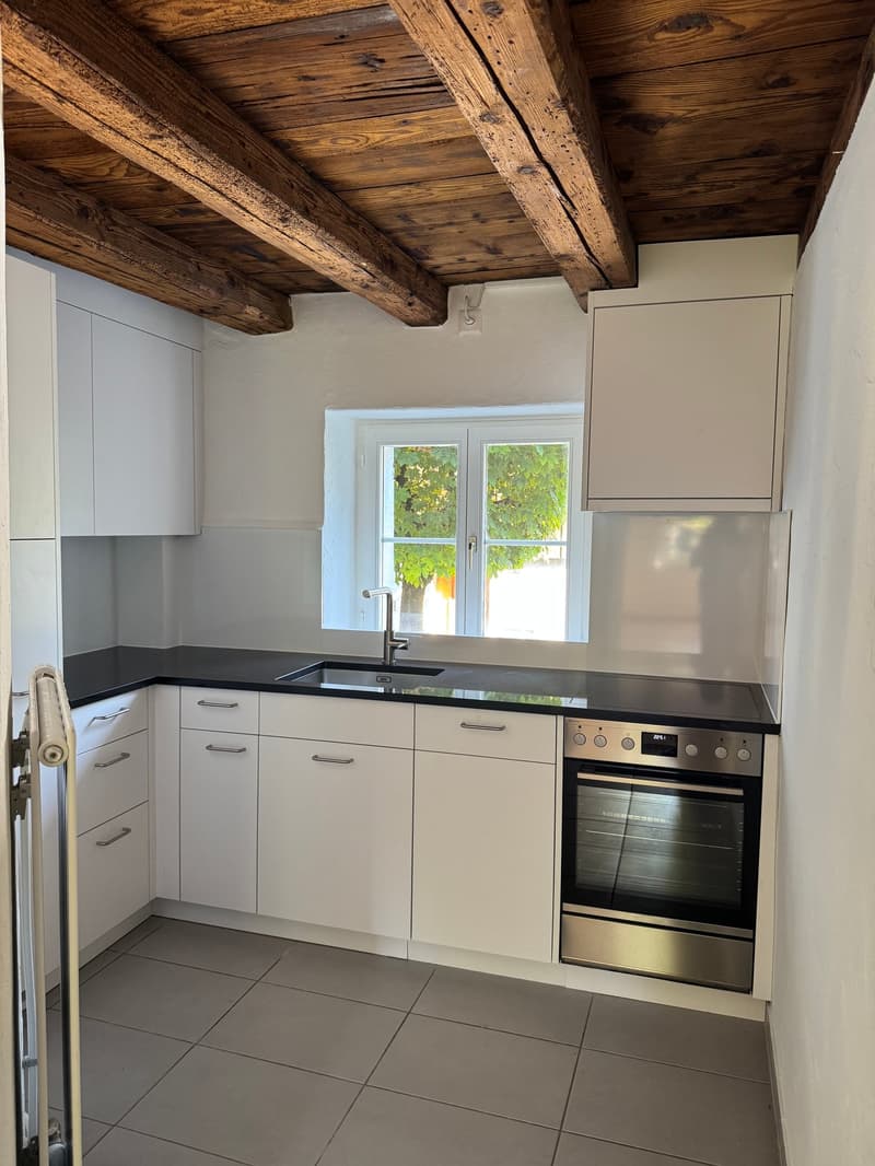 First occupancy after renovation - studio apartment with garden seating (3)