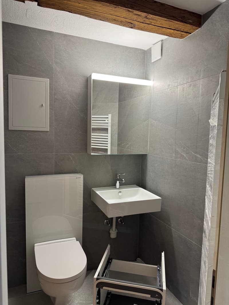 First occupancy after renovation - studio apartment with garden seating (2)