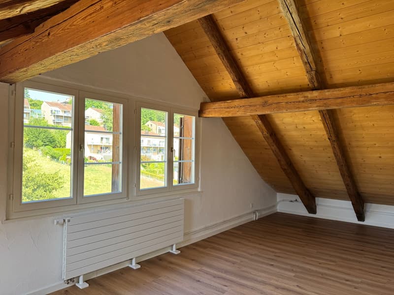 Erstbezug nach Renovation - Charmante Dachwohnung (2)