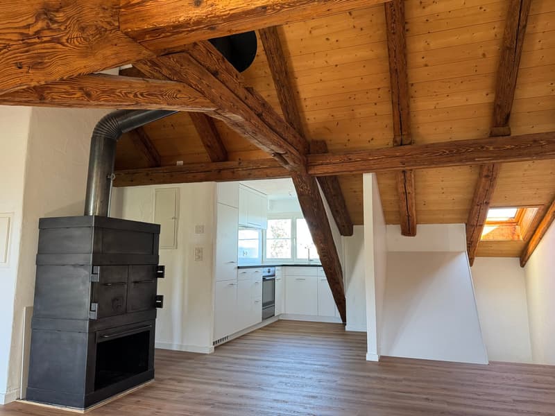 Erstbezug nach Renovation - Charmante Dachwohnung (4)