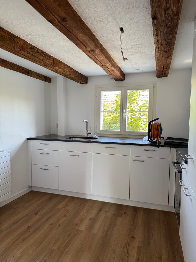 Erstbezug nach Renovation - 3 Zimmerwohnung an ruhiger Lage (2)