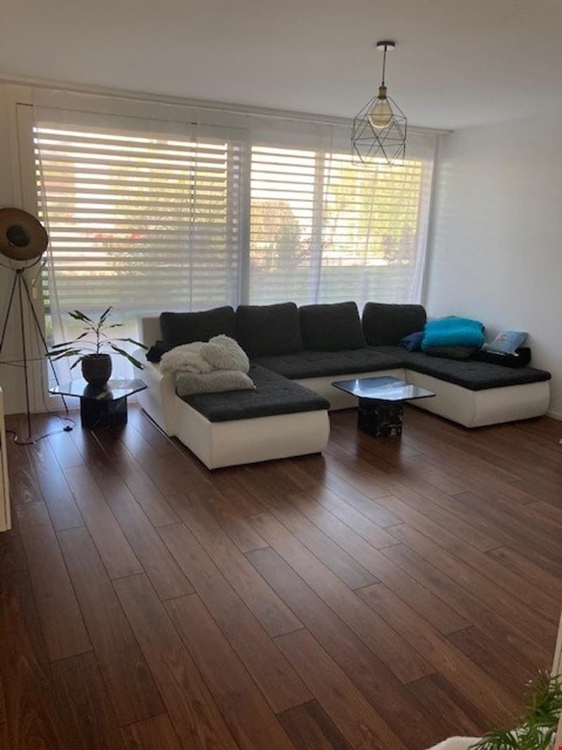 Appartement spacieux et attractif de 3 1/2 pièces (aménagement d'étage supérieur) (3)