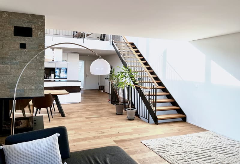 Lichtdurchflutetes 5.5-Zimmer-Haus mit Galerie, doppelter Raumhöhe und Weitsicht (3)