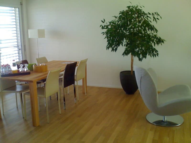 Möblierte 3,5 Zimmer/ 2 bedroom apartment in Adliswil (Zurich) (1)