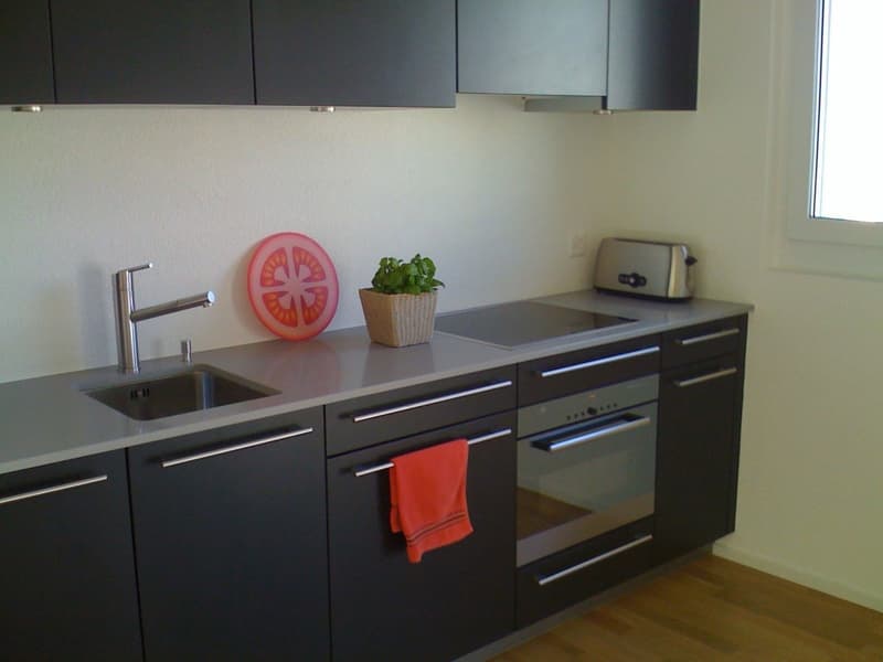 Möblierte 3,5 Zimmer/ 2 bedroom apartment in Adliswil (Zurich) (2)
