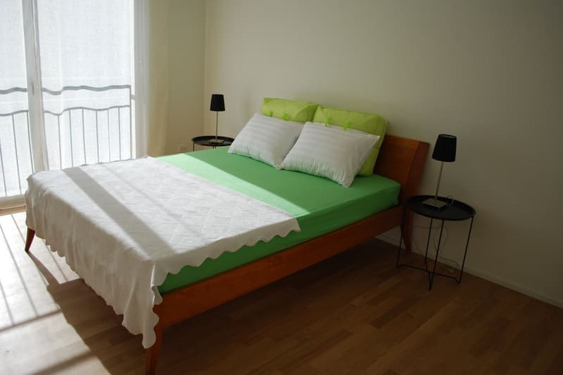 Möblierte 3,5 Zimmer/ 2 bedroom apartment in Adliswil (Zurich) (4)