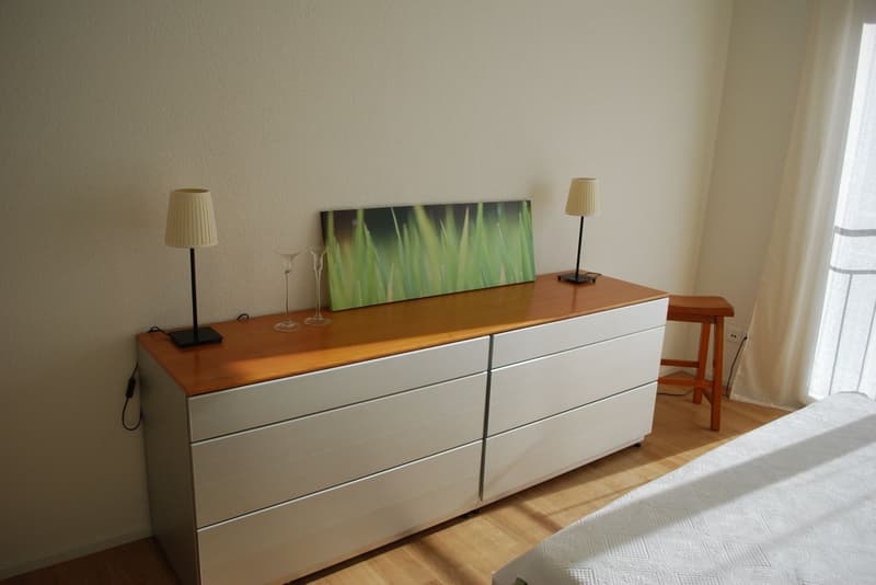 Möblierte 3,5 Zimmer/ 2 bedroom apartment in Adliswil (Zurich) (6)