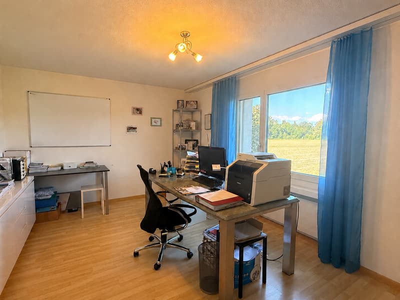 Appartement 4.5 pièces en norme de propriétaire - tranquillité absolue avec beaucoup de verdure à Hünenberg (10)