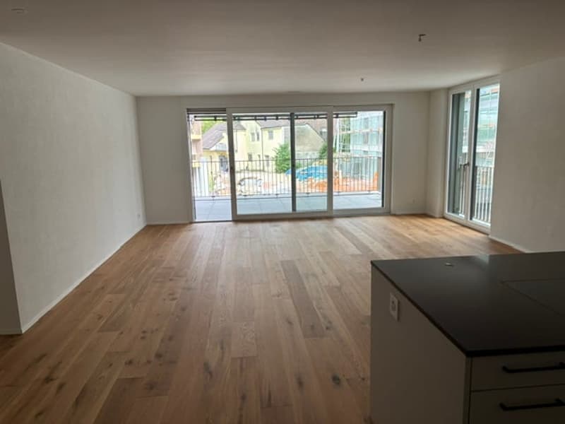 Moderne Neubau-2.5-Zimmer-Eigentumswohnung (1)