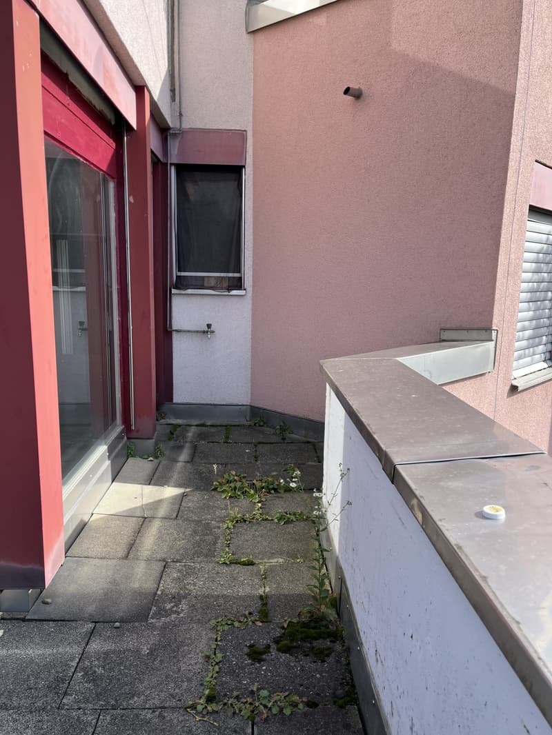 Appartement central, calme, avec terrasse de 100m2 sur le toit (6)