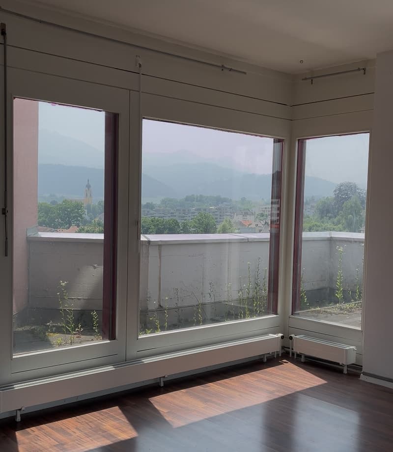 Appartement central, calme, avec terrasse de 100m2 sur le toit (4)